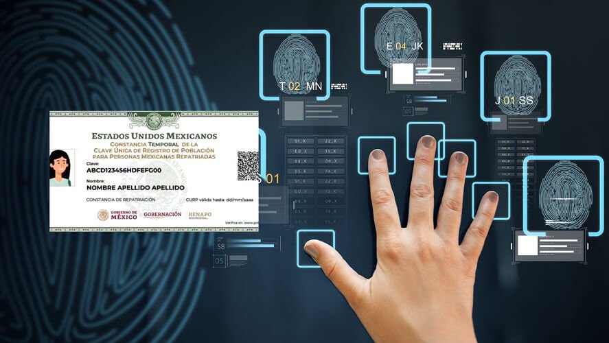 Example of a Mexican Biometric CURP card, showing the official layout and security features for identification.
